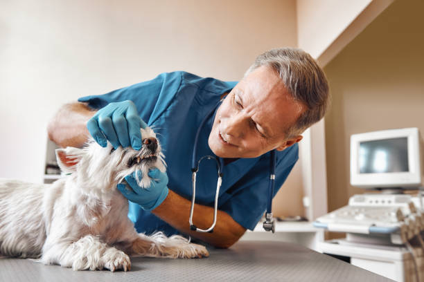 Best Emergency Root Canal Treatment in Warr Acres, OK